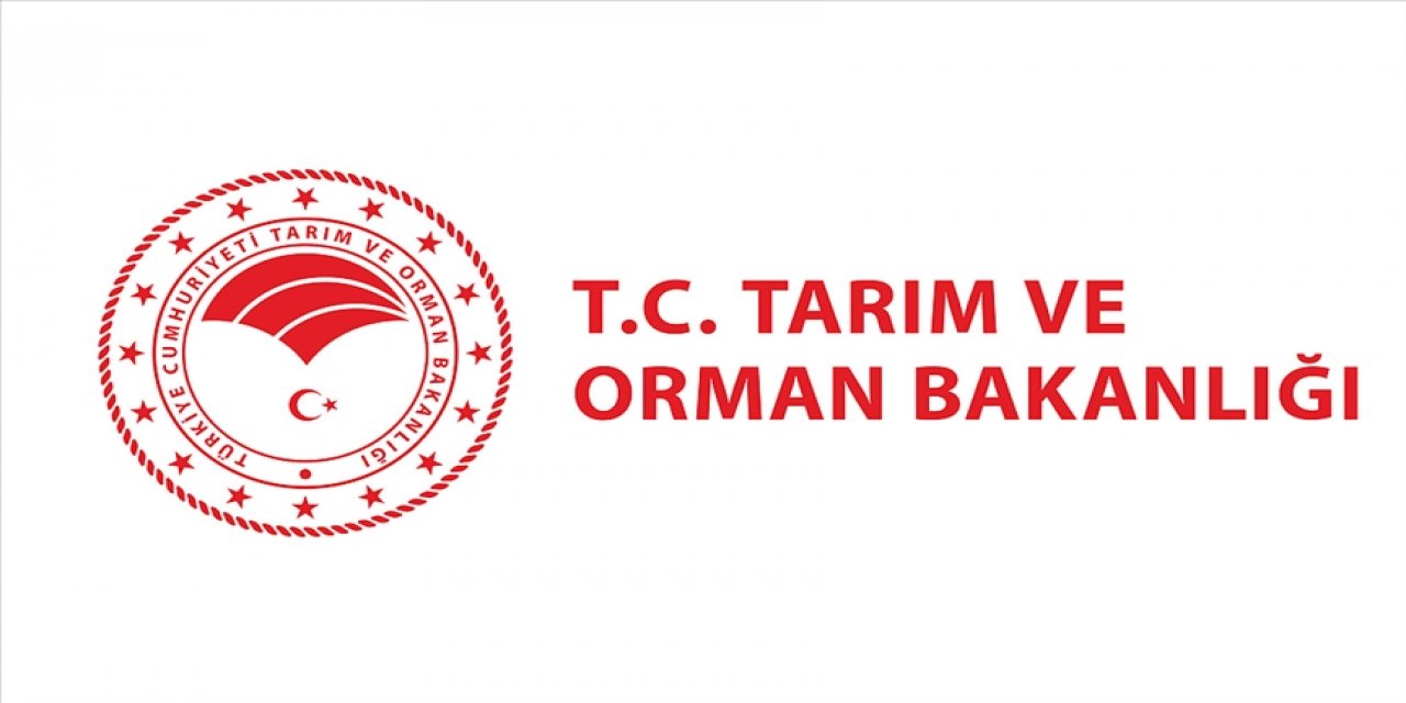tarimbak2.jpg